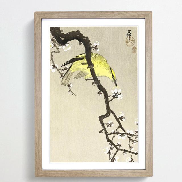 Chinese Oriole Bird on a Plum Blossom by Ohara Koson - Picture Frame Painting Print East Urban Home Frame Option: Oak Framed, Size: 48cm H x 36cm W x on Productcaster.