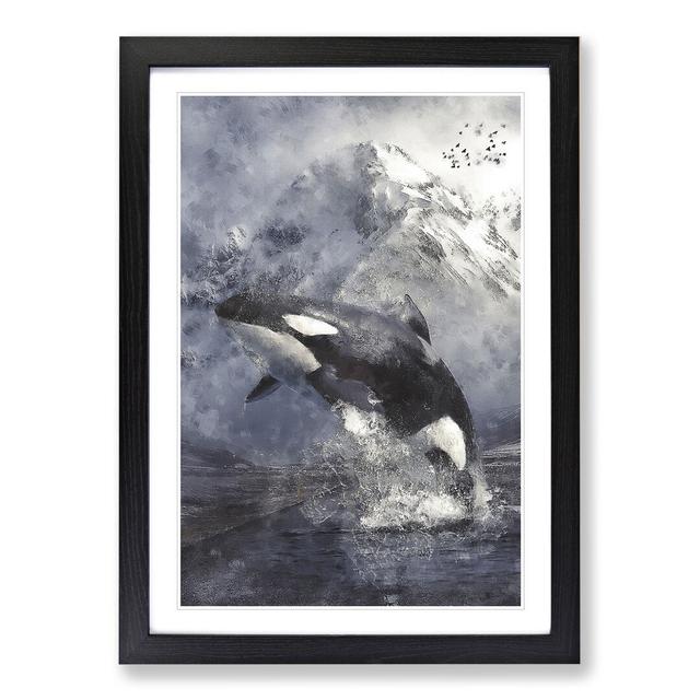 Killer Whale - Picture Frame Painting East Urban Home Size: 36cm H x 27cm W x 2cm D, Frame Option: Black Framed on Productcaster.