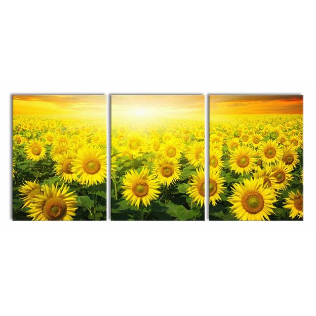 Sunflower Field - 3 Piece Wrapped Canvas Photograph Print Set East Urban Home Size: 80 cm H x 180 cm W x 2.4cm D on Productcaster.