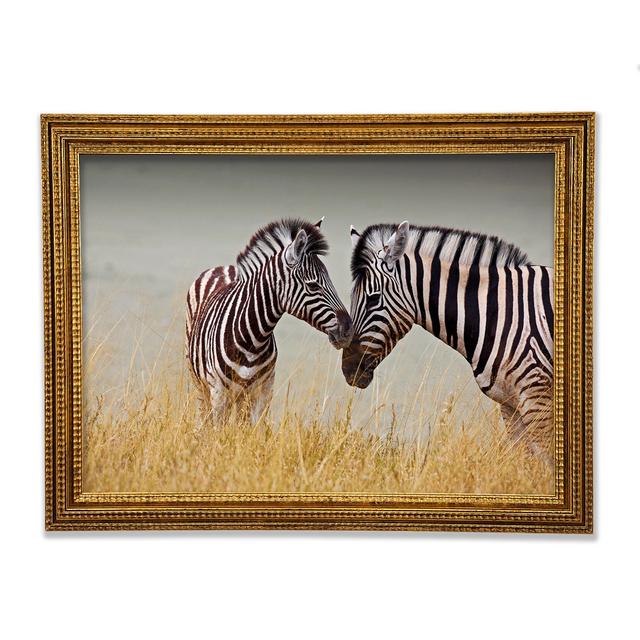 Mother And Baby Zebra - Single Picture Frame Art Prints Ebern Designs Size: 84.1cm H x 118.9cm W x 3cm D on Productcaster.