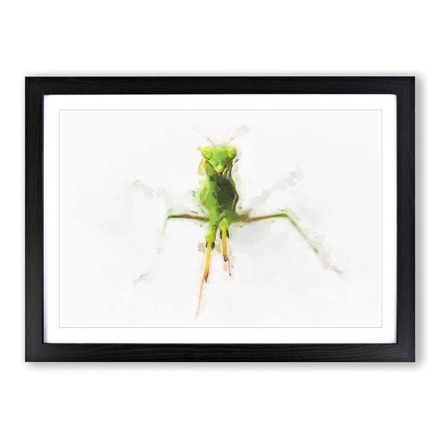 Praying Mantis in Abstract - Picture Frame Graphic Art Print East Urban Home Frame Option: Black, Size: 50cm H x 76cm W x 2cm D on Productcaster.