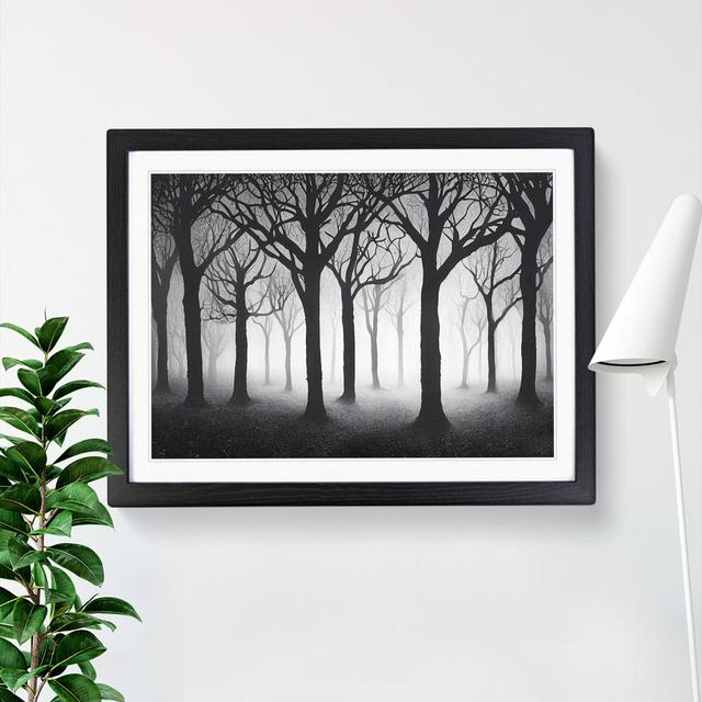 Contoured Forest - Single Picture Frame Print Latitude Run Frame Colour: Black, Size: 46cm H x 64cm W x 2cm D on Productcaster.