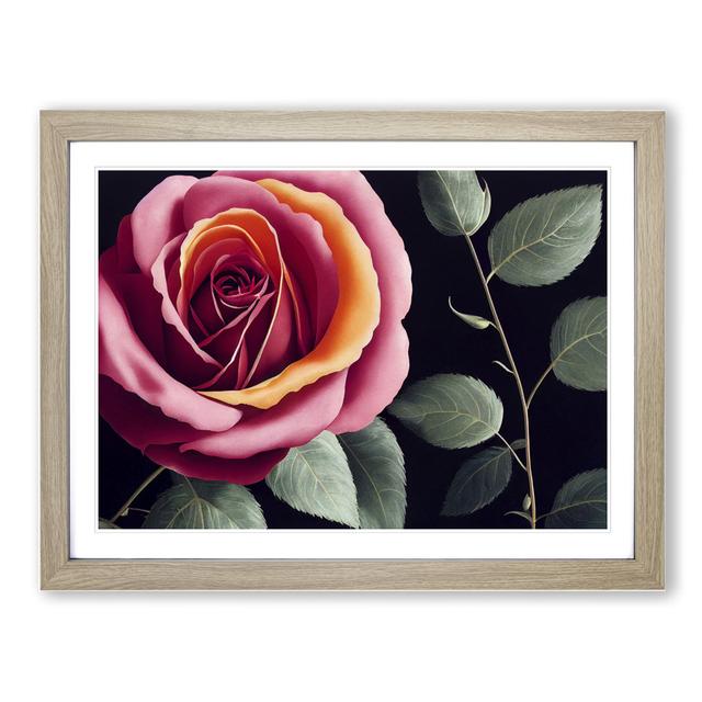 Beaming Rose Flower - Picture Frame Graphic Art Latitude Run Format: Oak, Size: 25cm H x 34cm W x 2cm D on Productcaster.