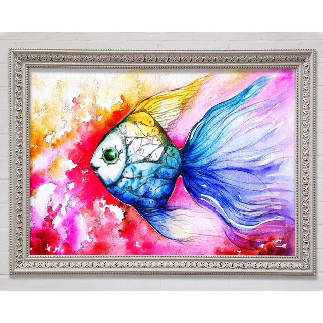 Multicoloured Fish Framed Print Bright Star Size: 59.7cm H x 84.1cm W x 3cm D on Productcaster.