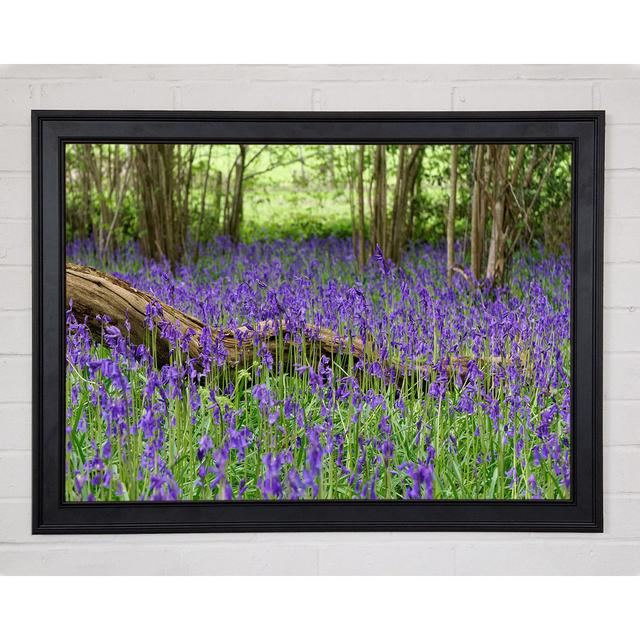 Purple Flowers In The Meadow - Print Ophelia & Co. Size: 84.1cm H x 118.9cm W x 1.5cm D, Format: Black Framed Paper on Productcaster.