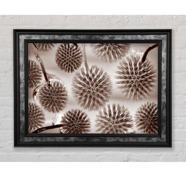 Dandelion Dream Chocolate - Print Bright Star Size: 29.7cm H x 42cm W x 8cm D on Productcaster.