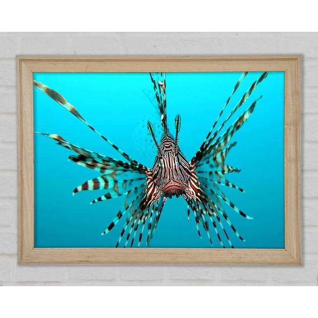 Red Lionfish Framed Print Highland Dunes Size: 59.7cm H x 84.1cm W x 1.5cm D on Productcaster.