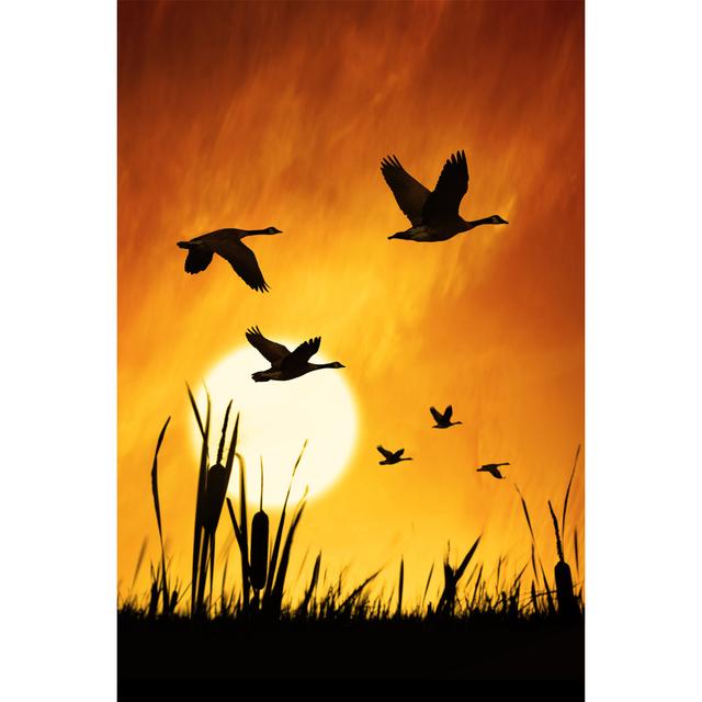 Migrating Canada Geese by Sharply_Done - Print 17 Stories Size: 91cm H x 61cm W on Productcaster.