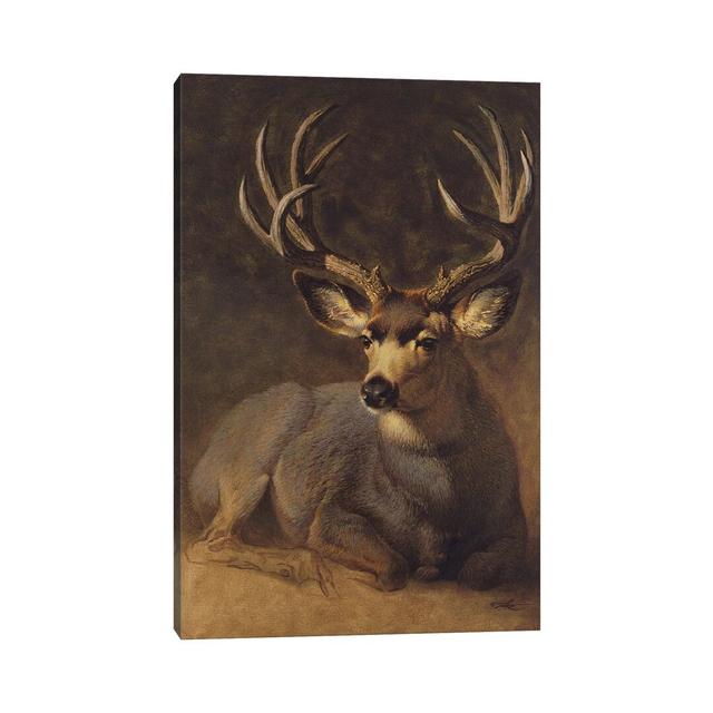 Winter Grey Buck by Ezra Tucker - Graphic Art on Canvas Union Rustic Format: Wrapped Canvas, Size: 45.72cm H x 30.48cm W x 1.91cm D on Productcaster.