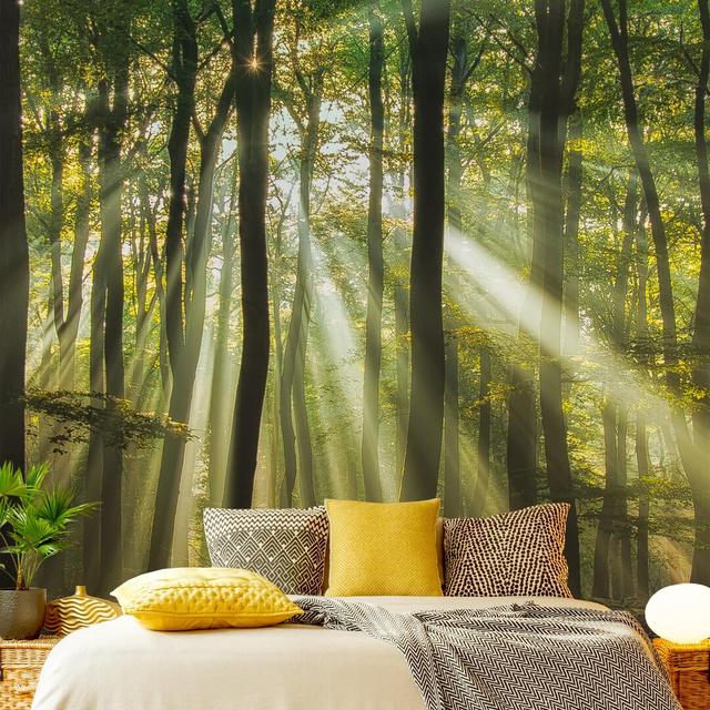 Sunny Day in the Forest 1.92m x 1.92m Textured Matt Peel & Stick Wall Mural East Urban Home on Productcaster.