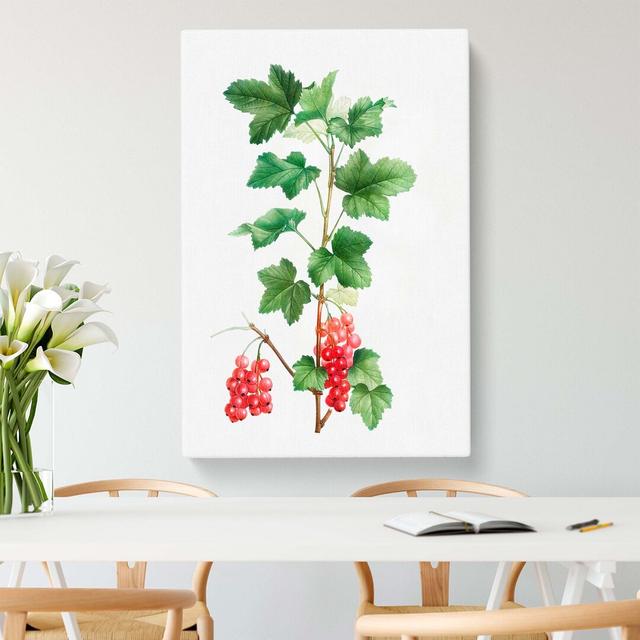 Redcurrant Flowers by Pierre-Joseph Redoute - Wrapped Canvas Painting Print East Urban Home Size: 60cm H x 40cm W x 3cm D on Productcaster.