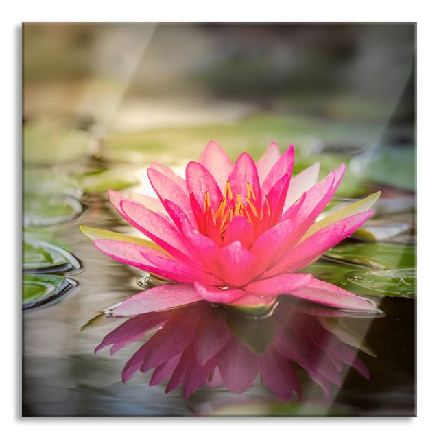 Ungerahmtes Foto auf Glas "Graceful Water Lily with Leaves" Brayden Studio Größe: 80 cm H x 80 cm B x 0,4 cm T on Productcaster.