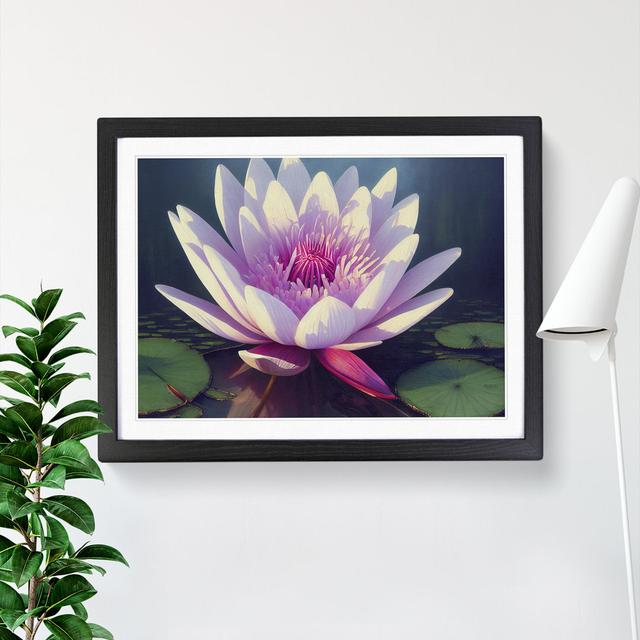 Graceful Water Lily Flower - Picture Frame Graphic Art Marlow Home Co. Format: Black Framed, Size: 34cm H x 46cm W x 2cm D on Productcaster.