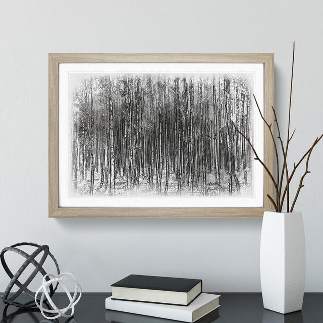 Birch Tree Forest Vol.2 - Picture Frame Graphic Art East Urban Home Frame Option: Oak, Size: 48cm H x 65cm W x 2cm D on Productcaster.