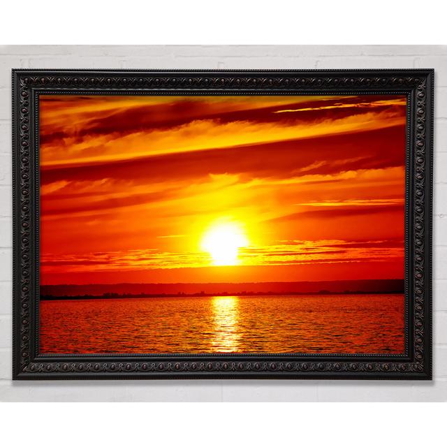 Single Picture Frame Art Prints Bright Star Size: 59.7cm H x 84.1cm W on Productcaster.