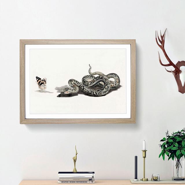 Snake & Butterfly by Johan Teyler - Picture Frame Painting Print East Urban Home Frame Option: Oak Framed, Size: 36cm H x 48cm W x 2cm D on Productcaster.