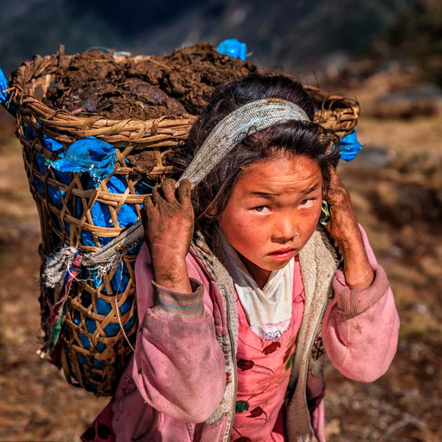 Girl Carrying 40Kg Yak'S Dung von Hadynyah - Kunstdrucke auf Leinwand Marlow Home Co. Größe: 20 cm H x 20 cm B on Productcaster.