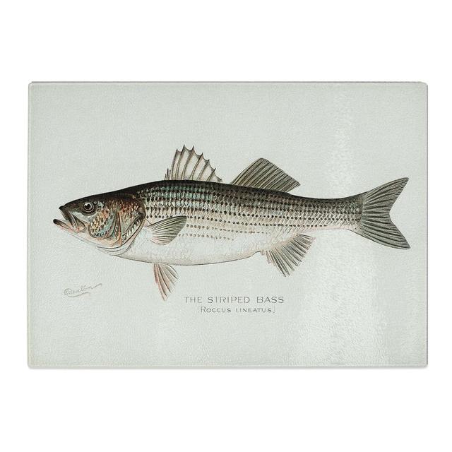 Tempered Glass Striped Bass by Sherman F. Denton Chopping Board East Urban Home Size: 39 cm x 28.5 cm on Productcaster.