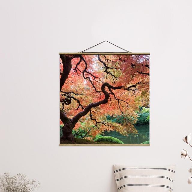 Japanese Garden - Photograph Print Union Rustic Size: 80cm H x 80cm W x 0.3cm D on Productcaster.