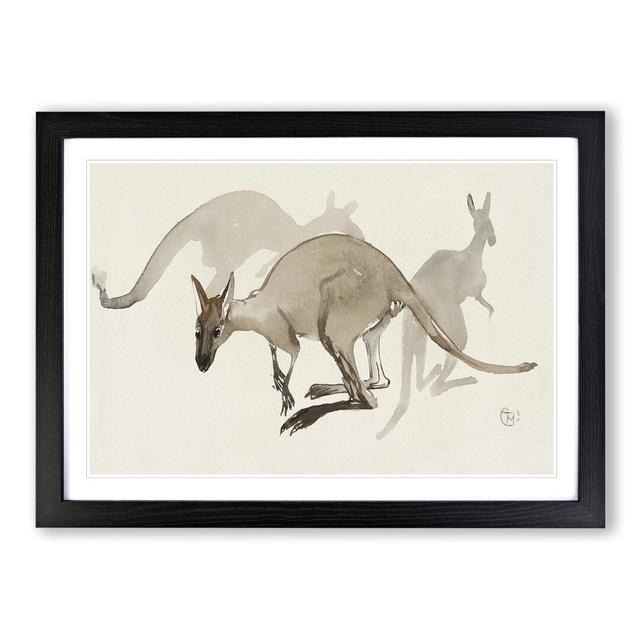 Kangaroos by Theo Van Hoytema - Picture Frame Painting East Urban Home Frame Option: Black Framed, Size: 27cm H x 36cm W x 2cm D on Productcaster.