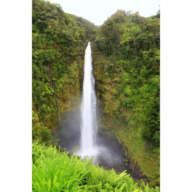 Carrizo Akaka Falls, Hawaii by Maridav - Wrapped Canvas Photograph Alpen Home Size: 30cm H x 20cm W x 3.8cm D on Productcaster.