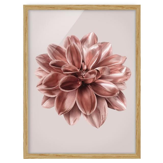 Dahlia Flower Rosegold Metallic - Picture Frame Graphic Art Ebern Designs Size: 70cm H x 50cm W x 2cm D, Frame Option: Brown Framed on Productcaster.