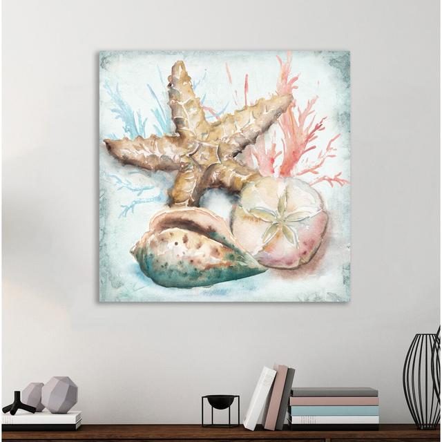 'Sea Shells II' by Tre Sorelle Studios Watercolour Painting Print on Wrapped Canvas Highland Dunes Size: 121.92cm H x 121.92cm W on Productcaster.