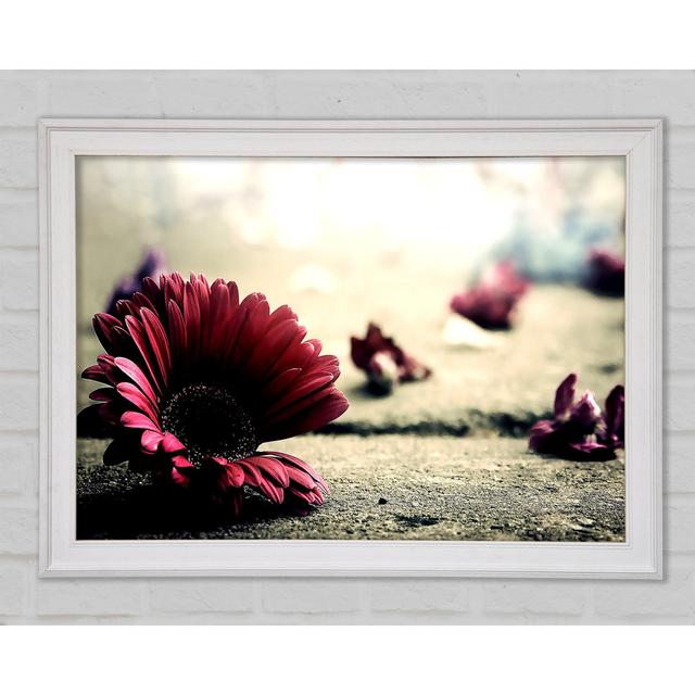 Missing Petals Framed Print Bright Star Size: 21cm H x 29.7cm W x 1.5cm D on Productcaster.