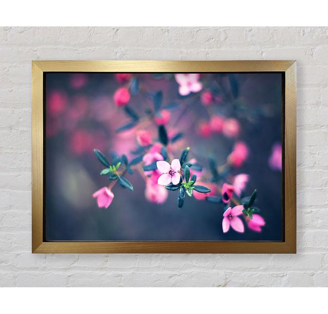 Four Petals - Single Picture Frame Art Prints Bright Star Size: 100cm H x 141.4cm W x 3.4cm D on Productcaster.