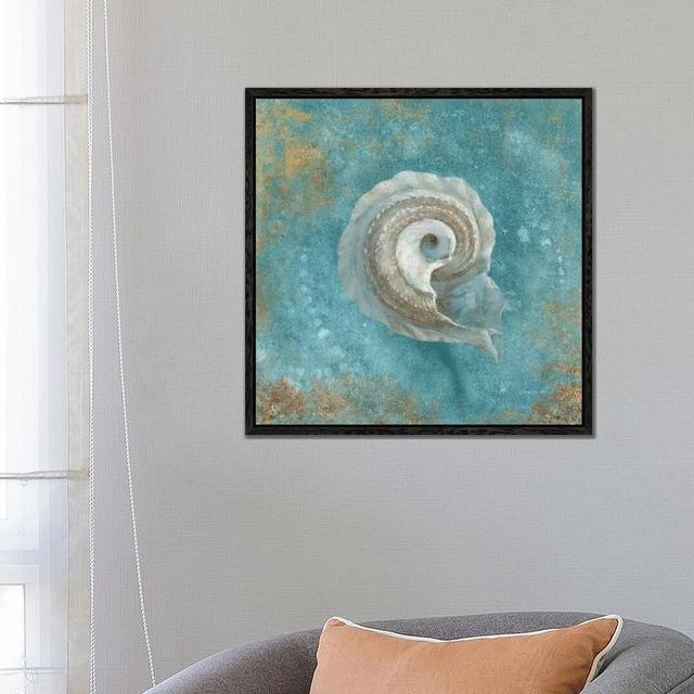 'Treasures from the Sea III' by Danhui Nai - Graphic Art Print on Canvas House of Hampton Format: Black Framed, Size: 66.04cm H x 66.04cm W x 3.81cm D on Productcaster.