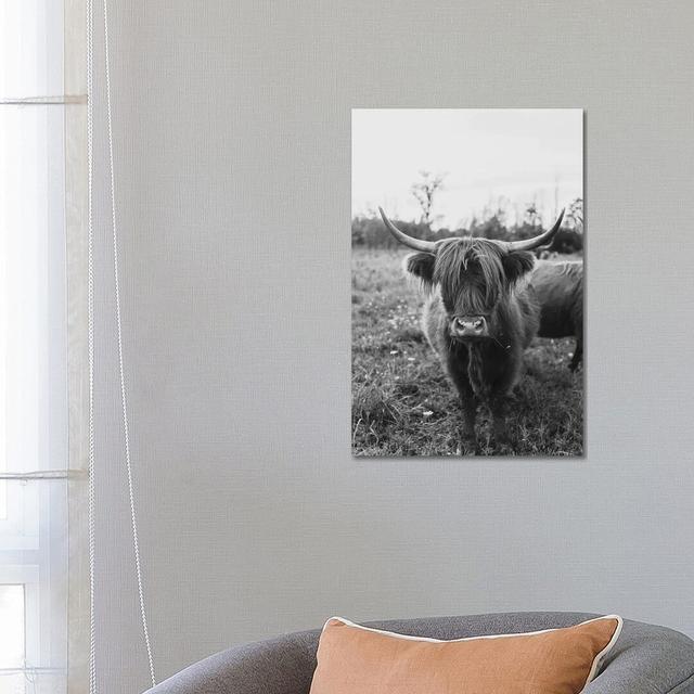 The Curious Cow Black and White by Chelsea Victoria - Wrapped Canvas Photograph Natur Pur Size: 66.04cm H x 45.72cm W x 3.81cm D on Productcaster.