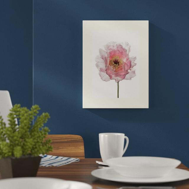 'Champagne Pink Peony' Photographic Print East Urban Home Size: 40cm H x 30cm W, Mount Colour: Yellow on Productcaster.