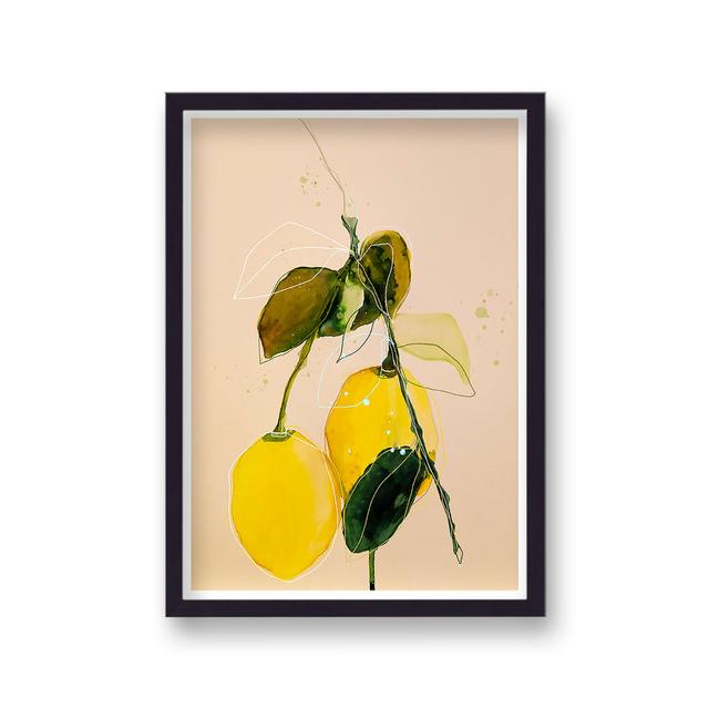 Leigh Viner Botanical Lemon Study 02 - Single Picture Frame Art Prints Brambly Cottage on Productcaster.