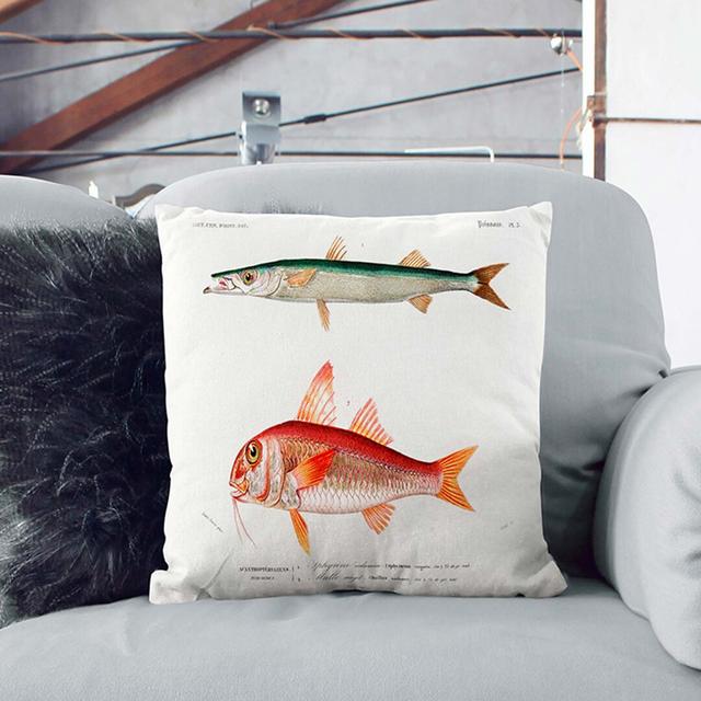 Fish Illustrations PL. 5 by Charles D' Orbigny Cushion with Filling East Urban Home Size: 40cm H x 40cm W x 15cm D, Backing Colour: Black on Productcaster.