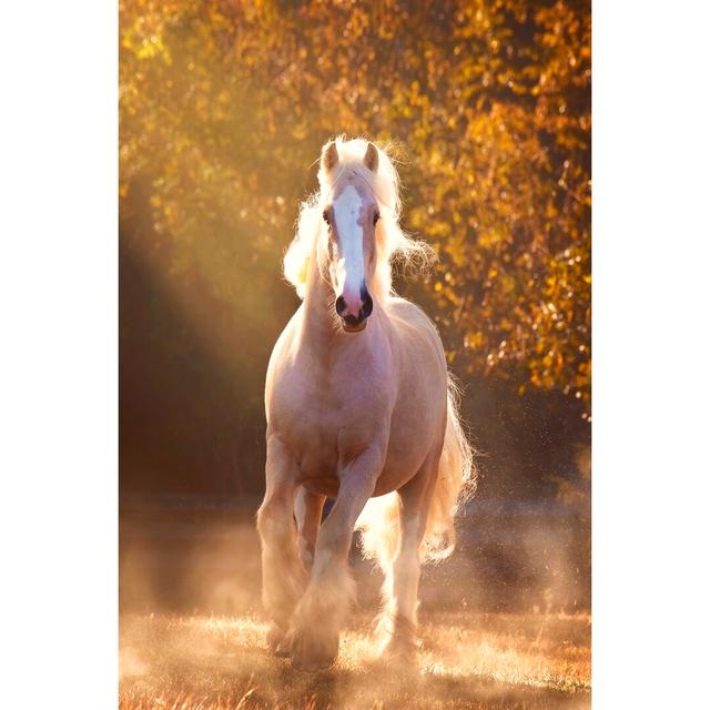 Horse Motion VIII by PHBurchett - Wrapped Canvas Photograph Union Rustic Size: 46cm H x 30cm W on Productcaster.