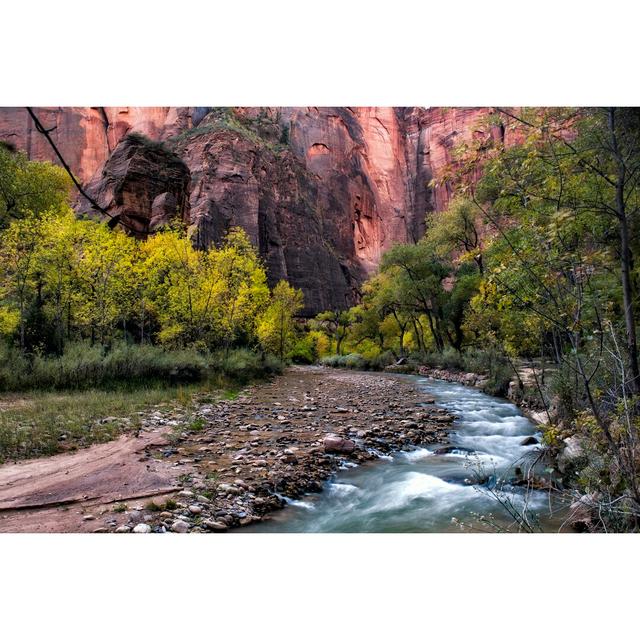 Looking Upstream I by Danny Head - Wrapped Canvas Photograph Union Rustic Size: 51cm H x 76cm W on Productcaster.