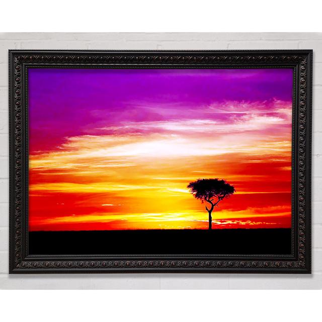 Lonsome Tree - Single Picture Frame Art Prints Bright Star Size: 42cm H x 59.7cm W on Productcaster.