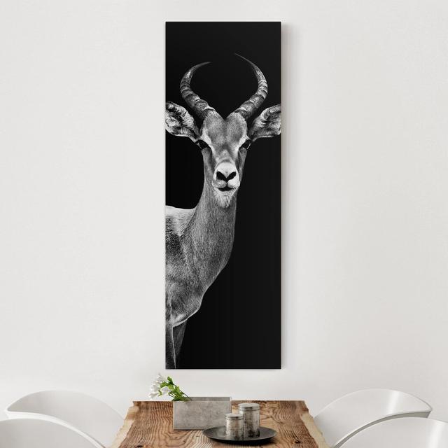 Impala Antelope by Philippe Hugonnard - Wrapped Canvas Photograph Union Rustic on Productcaster.