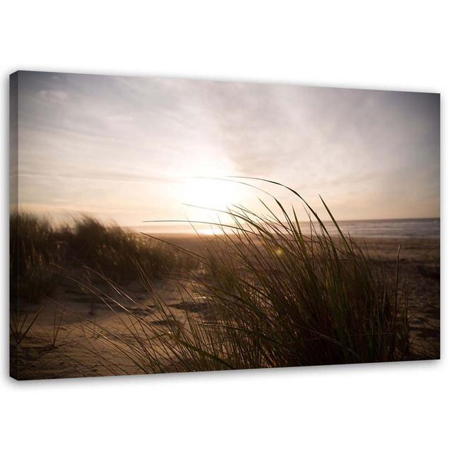 Canvas Print Beach Grass Sunset Highland Dunes Size: 80cm H x 120cm W on Productcaster.