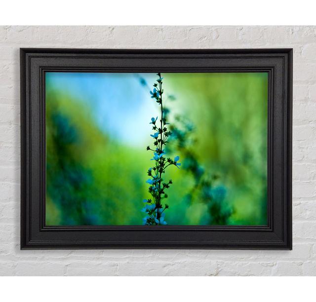 Blossom Blue Flower - Single Picture Frame Art Prints Ebern Designs Size: 42cm H x 59.7cm W x 8cm D on Productcaster.