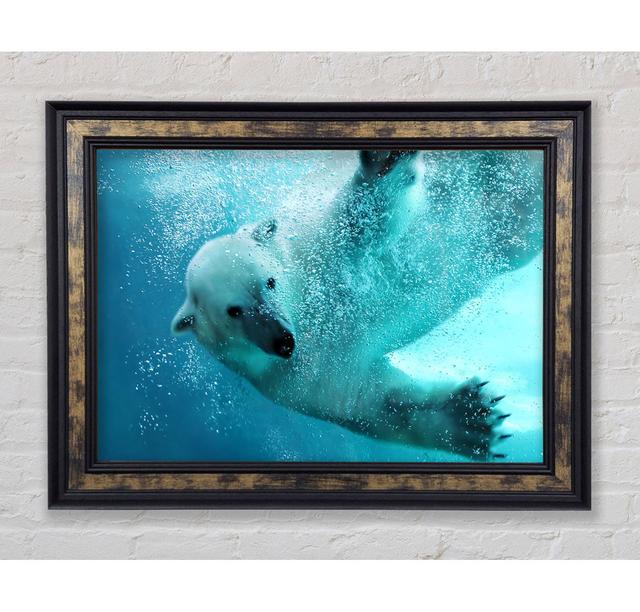 Polar Bear Swim - Print Bright Star Size: 100cm H x 141.4cm W x 8cm D on Productcaster.