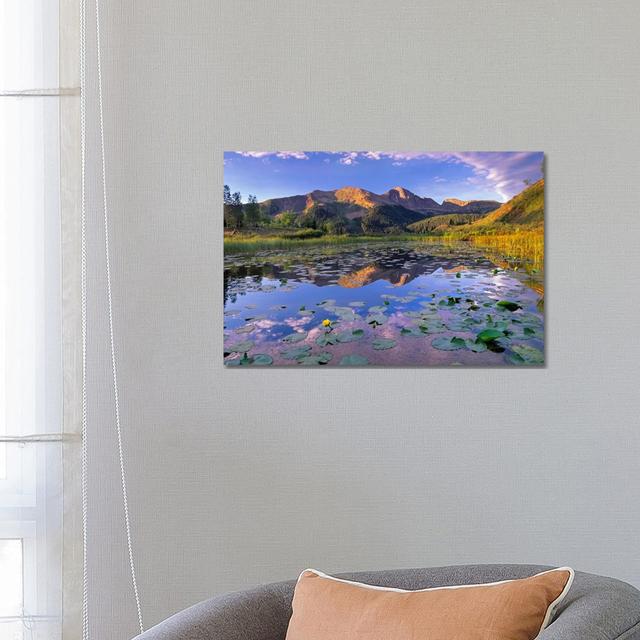 Lily Pads And Reflection Of Snowdon Peak In Pond by Tim Fitzharris - Wrapped Canvas Print Alpen Home Size: 45.72cm H x 66.04cm W x 1.91cm D on Productcaster.