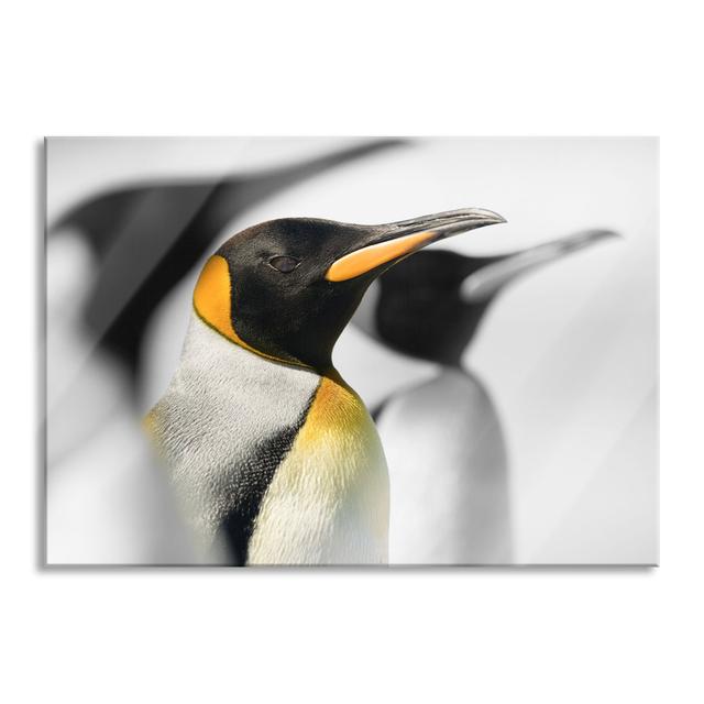 Glasbild Beautiful Emperor Penguins 17 Stories Größe: 40 cm H x 60 cm B x 0.4 cm T on Productcaster.