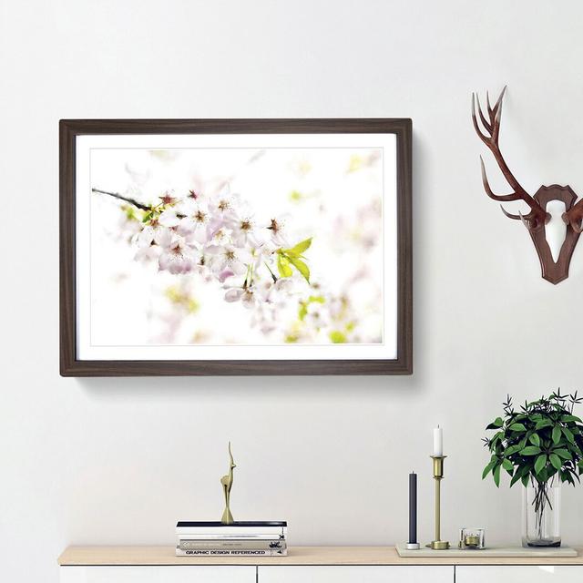 Cherry Blossom Tree in Pink - Picture Frame Graphic Art Print East Urban Home Frame Option: Walnut Framed, Size: 24cm H x 33cm W x 2cm D on Productcaster.