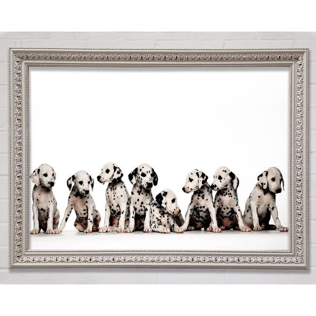 Dalmatian Puppy Fun - Print Bright Star Size: 59.7cm H x 84.1cm W x 3cm D on Productcaster.