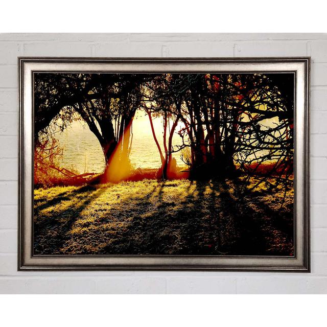 Golden Sunlight - Single Picture Frame Art Prints Union Rustic Size: 29.7cm H x 42cm W x 1.5cm D on Productcaster.