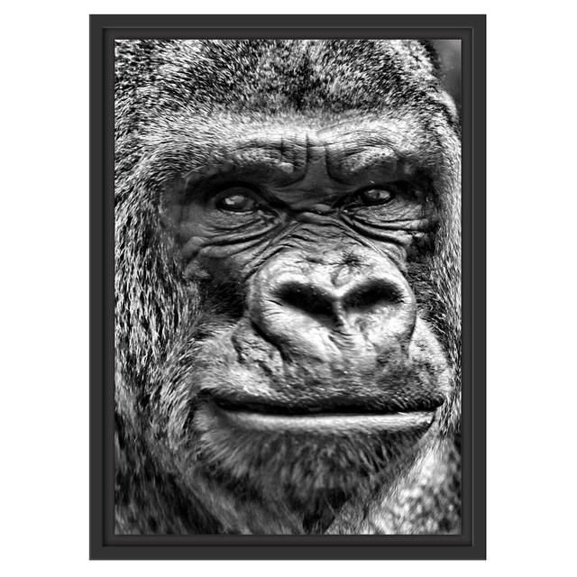 Gerahmtes Wandbild stolzer Gorilla East Urban Home Größe: 55 cm H x 40 cm B on Productcaster.