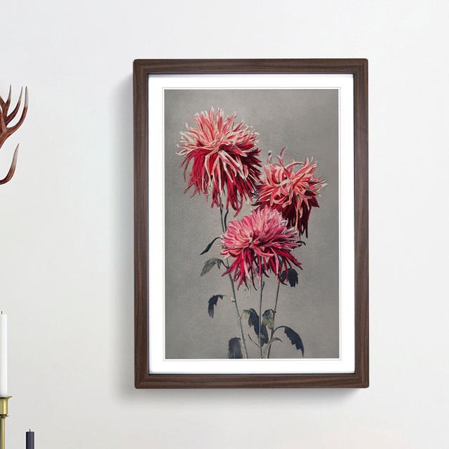 Fuscia Pink Chrysanthemums by Ogawa Kazumasa - Picture Frame Painting Print East Urban Home Frame Option: Walnut Framed, Size: 36cm H x 27cm W x 2cm D on Productcaster.