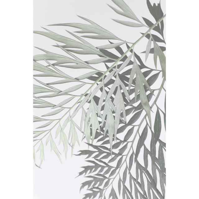 Neutral Leaves - Wrapped Canvas Print 17 Stories Size: 91cm H x 61cm W x 3.8cm D on Productcaster.