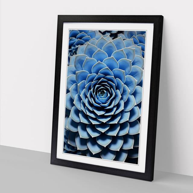 Succulent Op - Single Picture Frame Art Prints on Wood Marlow Home Co. Size: 64cm H x 46cm W x 2cm D, Frame Colour: Black on Productcaster.